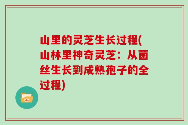 山里的灵芝生长过程(山林里神奇灵芝：从菌丝生长到成熟孢子的全过程)