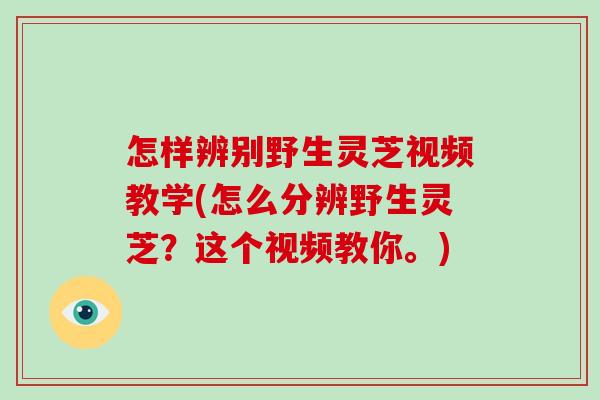 怎样辨别野生灵芝视频教学(怎么分辨野生灵芝？这个视频教你。)