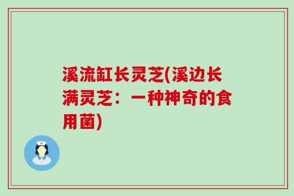 溪流缸长灵芝(溪边长满灵芝：一种神奇的食用菌)