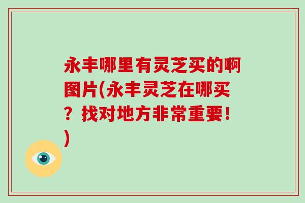 永丰哪里有灵芝买的啊图片(永丰灵芝在哪买？找对地方非常重要！)