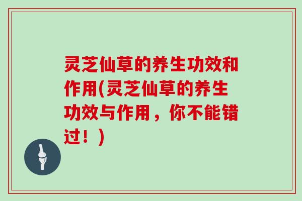 灵芝仙草的养生功效和作用(灵芝仙草的养生功效与作用，你不能错过！)