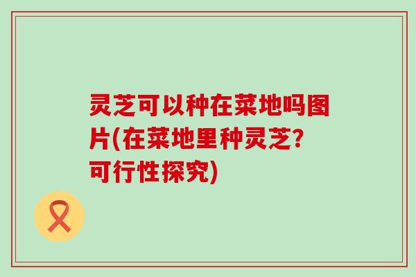 灵芝可以种在菜地吗图片(在菜地里种灵芝？可行性探究)