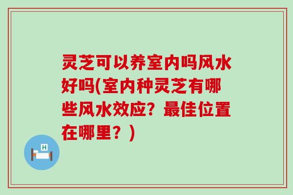 灵芝可以养室内吗风水好吗(室内种灵芝有哪些风水效应？佳位置在哪里？)