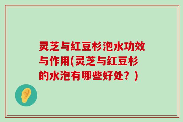 灵芝与红豆杉泡水功效与作用(灵芝与红豆杉的水泡有哪些好处？)