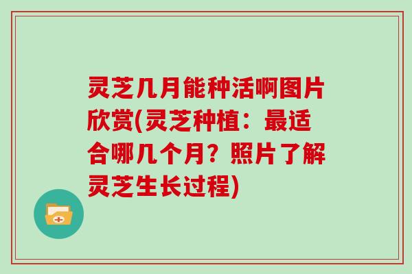 灵芝几月能种活啊图片欣赏(灵芝种植：适合哪几个月？照片了解灵芝生长过程)