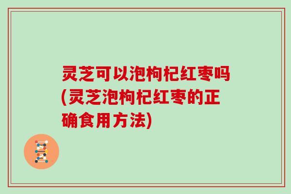 灵芝可以泡枸杞红枣吗(灵芝泡枸杞红枣的正确食用方法)