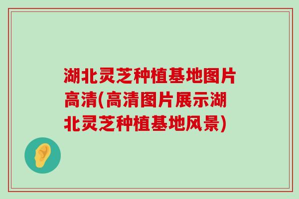 湖北灵芝种植基地图片高清(高清图片展示湖北灵芝种植基地风景)