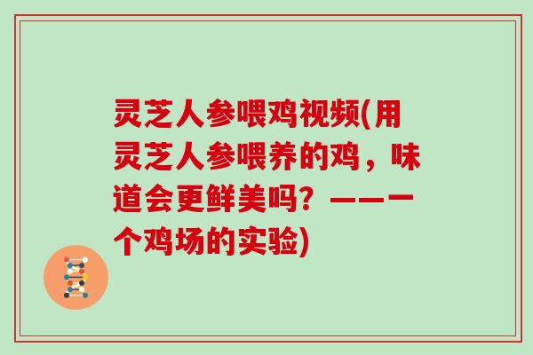 灵芝人参喂鸡视频(用灵芝人参喂养的鸡，味道会更鲜美吗？——一个鸡场的实验)