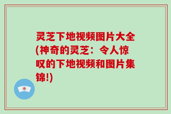 灵芝下地视频图片大全(神奇的灵芝：令人惊叹的下地视频和图片集锦!)