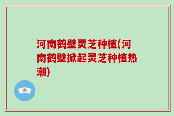 河南鹤壁灵芝种植(河南鹤壁掀起灵芝种植热潮)