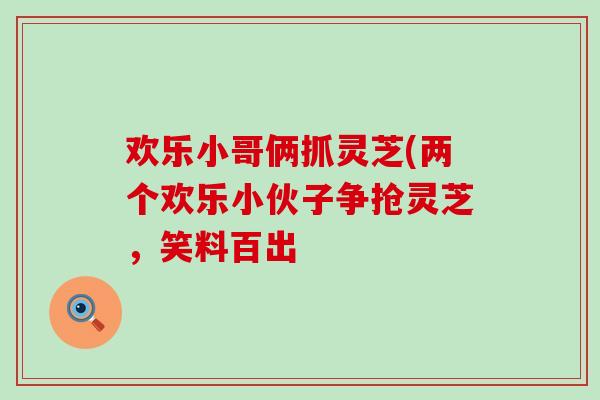 欢乐小哥俩抓灵芝(两个欢乐小伙子争抢灵芝，笑料百出