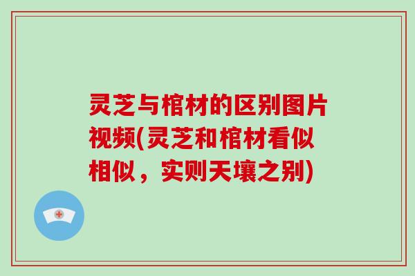 灵芝与棺材的区别图片视频(灵芝和棺材看似相似，实则天壤之别)