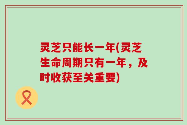 灵芝只能长一年(灵芝生命周期只有一年，及时收获至关重要)