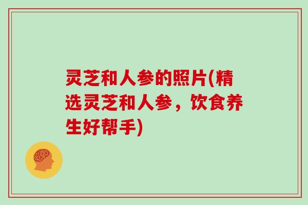 灵芝和人参的照片(精选灵芝和人参，饮食养生好帮手)