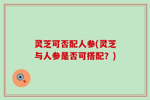 灵芝可否配人参(灵芝与人参是否可搭配？)