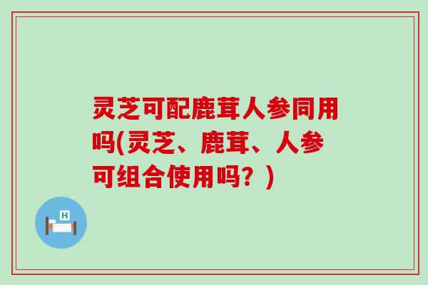 灵芝可配鹿茸人参同用吗(灵芝、鹿茸、人参可组合使用吗？)