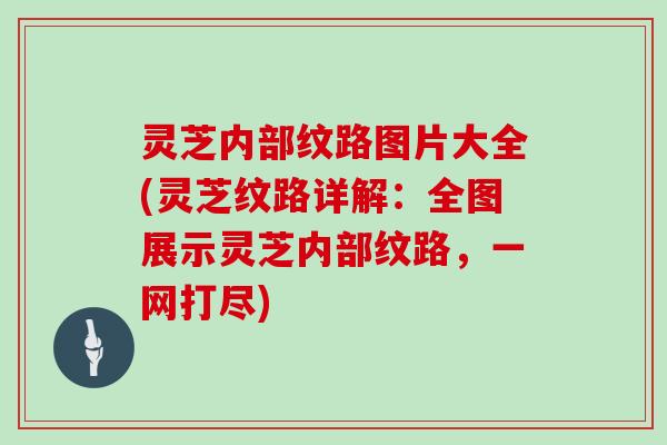 灵芝内部纹路图片大全(灵芝纹路详解：全图展示灵芝内部纹路，一网打尽)