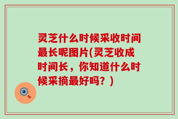 灵芝什么时候采收时间长呢图片(灵芝收成时间长，你知道什么时候采摘好吗？)