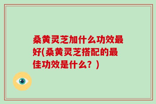 桑黄灵芝加什么功效好(桑黄灵芝搭配的佳功效是什么？)