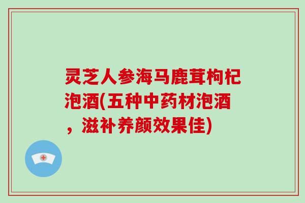 灵芝人参海马鹿茸枸杞泡酒(五种材泡酒，滋补养颜效果佳)