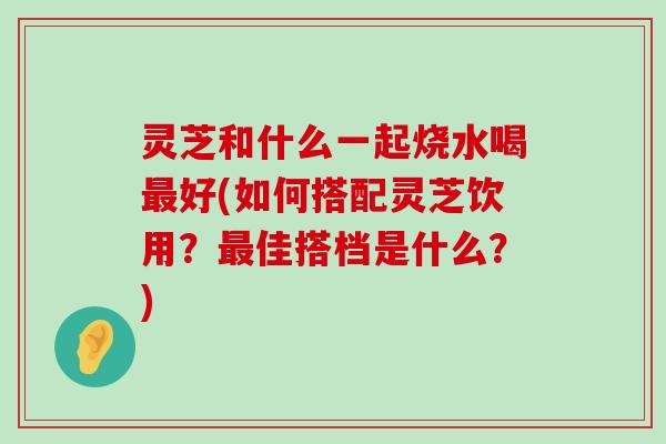 灵芝和什么一起烧水喝好(如何搭配灵芝饮用？佳搭档是什么？)