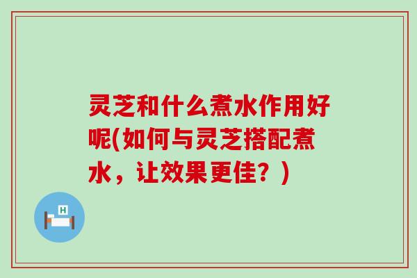 灵芝和什么煮水作用好呢(如何与灵芝搭配煮水，让效果更佳？)