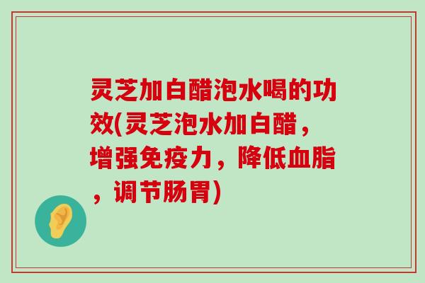 灵芝加白醋泡水喝的功效(灵芝泡水加白醋，增强免疫力，降低，调节肠胃)