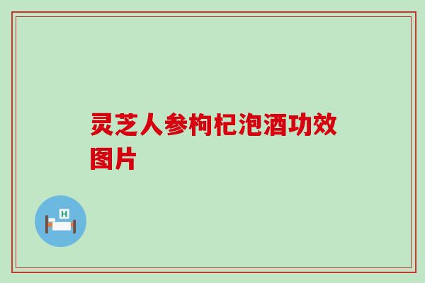 灵芝人参枸杞泡酒功效图片