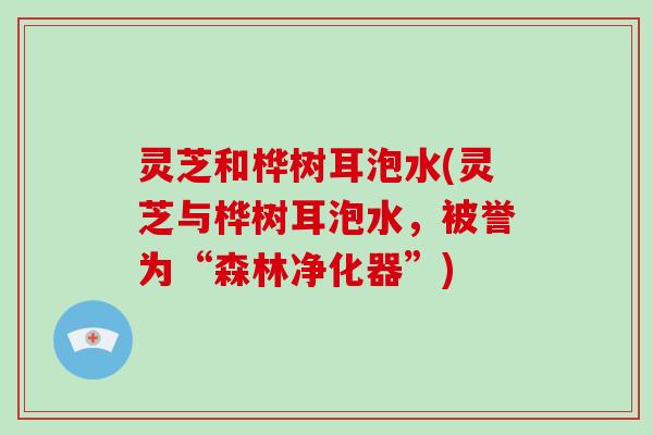 灵芝和桦树耳泡水(灵芝与桦树耳泡水，被誉为“森林净化器”)