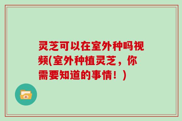 灵芝可以在室外种吗视频(室外种植灵芝，你需要知道的事情！)