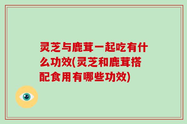 灵芝与鹿茸一起吃有什么功效(灵芝和鹿茸搭配食用有哪些功效)