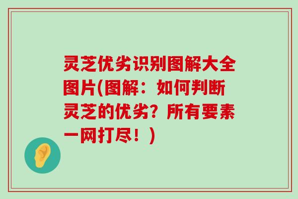 灵芝优劣识别图解大全图片(图解：如何判断灵芝的优劣？所有要素一网打尽！)