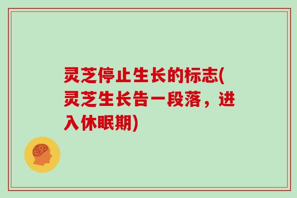 灵芝停止生长的标志(灵芝生长告一段落，进入休眠期)