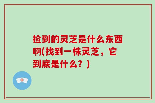 捡到的灵芝是什么东西啊(找到一株灵芝，它到底是什么？)