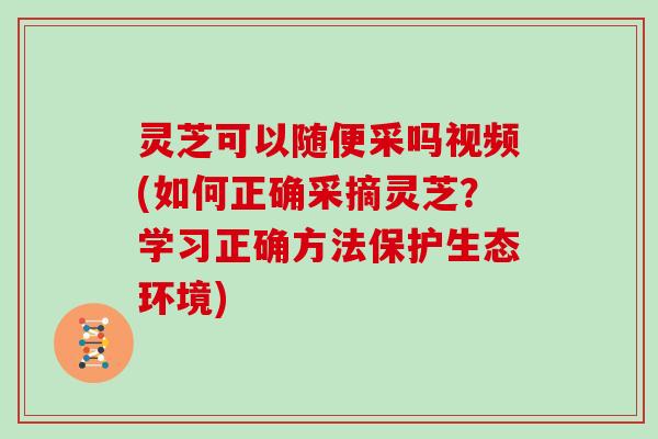 灵芝可以随便采吗视频(如何正确采摘灵芝？学习正确方法保护生态环境)