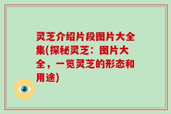 灵芝介绍片段图片大全集(探秘灵芝：图片大全，一览灵芝的形态和用途)