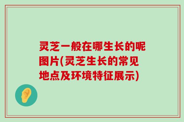 灵芝一般在哪生长的呢图片(灵芝生长的常见地点及环境特征展示)