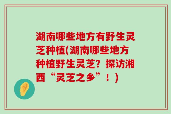 湖南哪些地方有野生灵芝种植(湖南哪些地方种植野生灵芝？探访湘西“灵芝之乡”！)