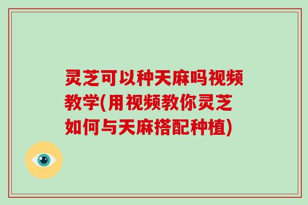 灵芝可以种天麻吗视频教学(用视频教你灵芝如何与天麻搭配种植)