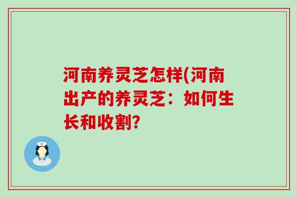 河南养灵芝怎样(河南出产的养灵芝：如何生长和收割？