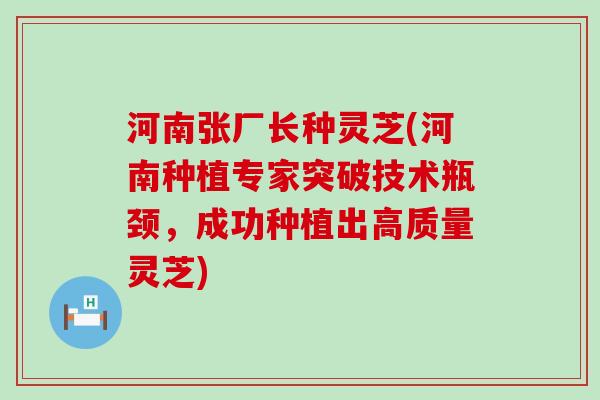 河南张厂长种灵芝(河南种植专家突破技术瓶颈，成功种植出高质量灵芝)