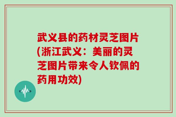 武义县的药材灵芝图片(浙江武义：美丽的灵芝图片带来令人钦佩的药用功效)