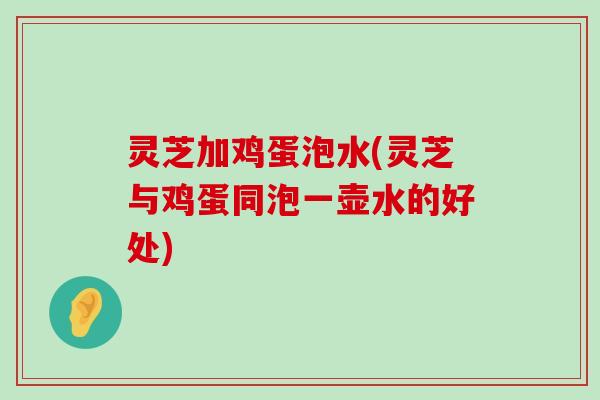 灵芝加鸡蛋泡水(灵芝与鸡蛋同泡一壶水的好处)