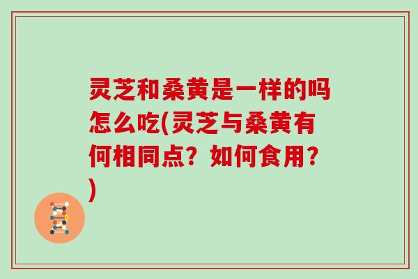 灵芝和桑黄是一样的吗怎么吃(灵芝与桑黄有何相同点？如何食用？)