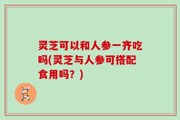 灵芝可以和人参一齐吃吗(灵芝与人参可搭配食用吗？)