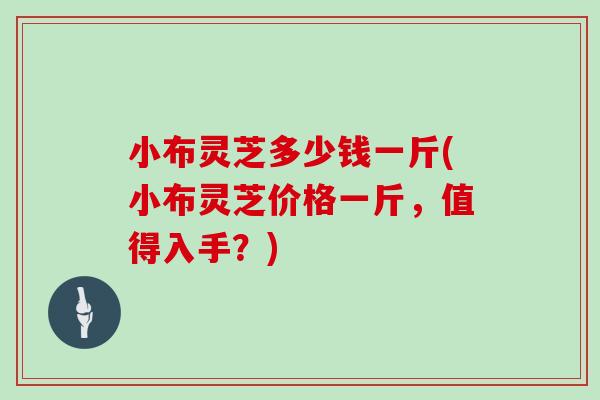 小布灵芝多少钱一斤(小布灵芝价格一斤，值得入手？)