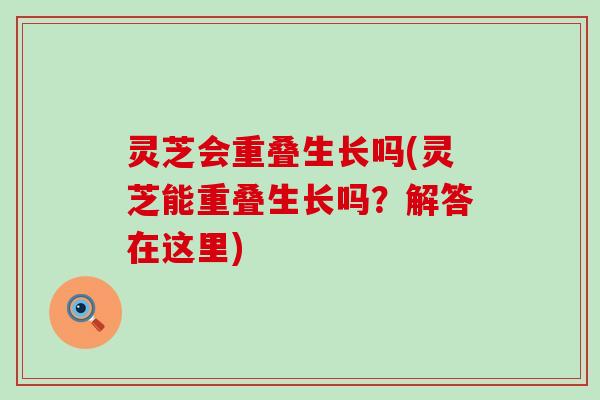 灵芝会重叠生长吗(灵芝能重叠生长吗？解答在这里)