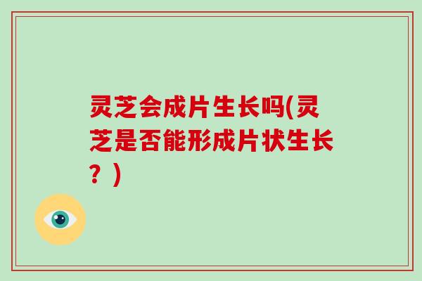 灵芝会成片生长吗(灵芝是否能形成片状生长？)