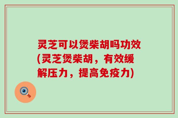 灵芝可以煲柴胡吗功效(灵芝煲柴胡，有效缓解压力，提高免疫力)