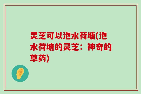 灵芝可以泡水荷塘(泡水荷塘的灵芝：神奇的草药)